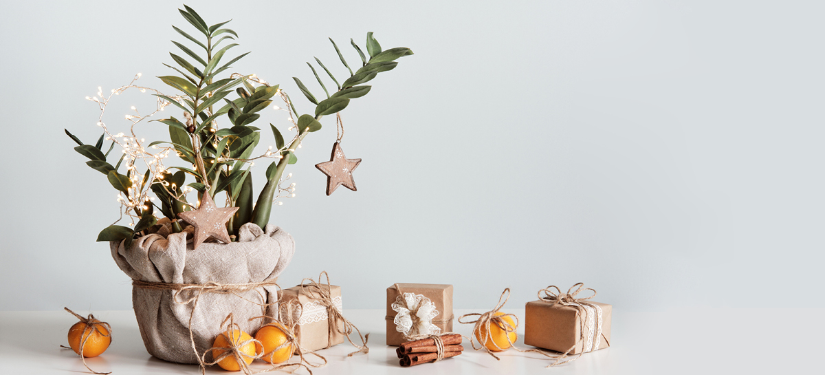 Array of presents wrapped in twine