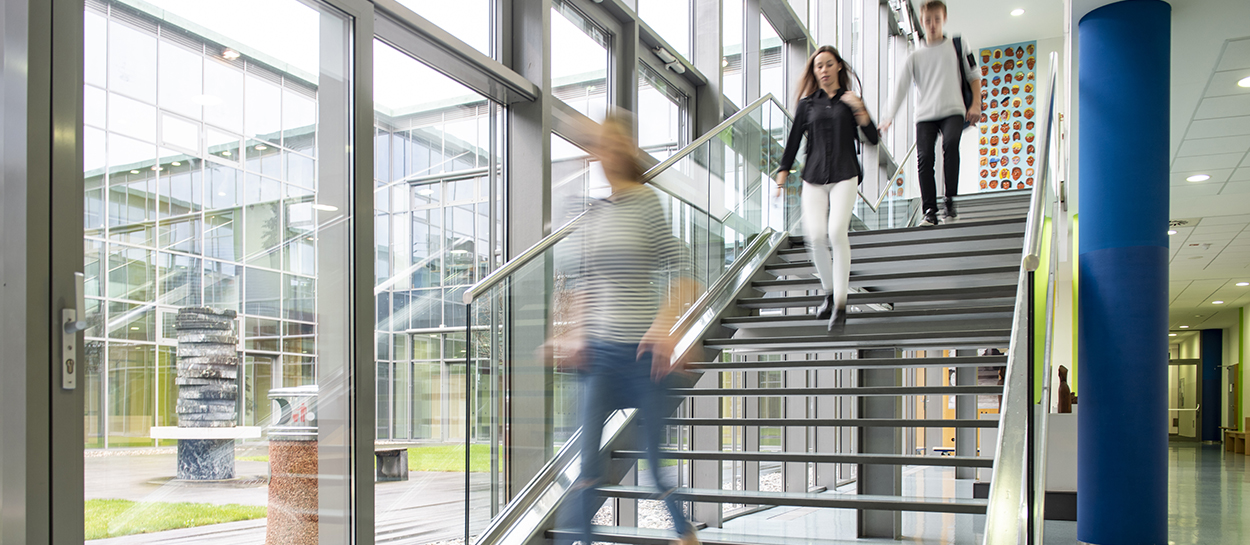 College students walking down stairs