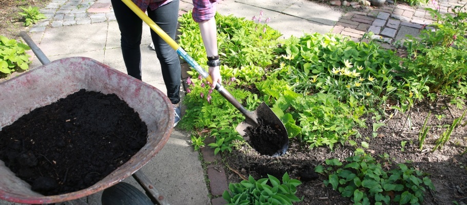 Person shoveling finished compost into garden